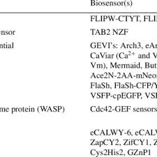 They excel with high brightness and photostability while conjugates of the dyes show an excellent solubility in aqueous buffers as pbs. Pdf Microscopy And Image Analysis