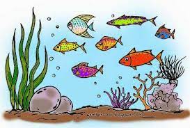 3 hotel dengan pemandangan bawah laut yang menakjubkan lifestyle. Gambar Mewarnai Ikan Laut Contoh Gambar Mewarnai