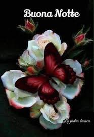 Bouquet mazzo 30 lisianthus bianchi e lilla. Immagini Buonanotte Farfalle Fiori