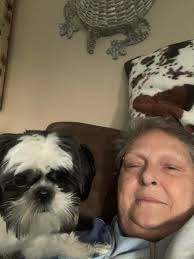 Lost Dog Found in Lake Havasu City