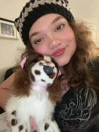 How to Get A Black and White Springer Spaniel Stuffed Animal