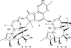 Image result for Neoboutonia