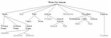 65 all inclusive language family tree diagram