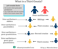 What do you call your cousin's kid? What Is A Third Cousin Who Are You Made Of