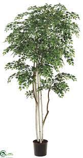 76'' h x 26'' w x 24'' d. Silk Plants Direct White Paper Birch Tree Green Pack Of 2 Artificial Tree Silk Plants Birch Tree