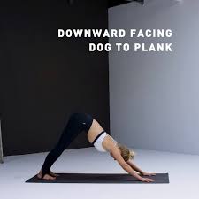 Downward Facing Dog To Plank Sterke Rockyourbodybook