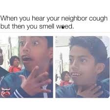 Fantacy The Meme Lord When You Hear The Neighbor Cough And Think He Has Covid But It S Just Weed Laugh Humor Gags Memes Funnymemes Laughingmemes Laughter Kenyanmemes Laughable Funnyvideos Fantacymemes Facebook