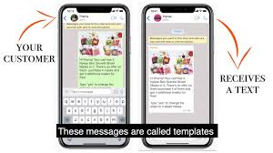 Download Download Whatsapp Templates 9 Free Business Api Template Verloop Io