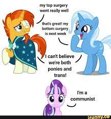 My Top Surgery Went Really Well Great My Bottom Surgery Is Next Week Can T Believe We Re Both Ponies And Trans Ima Communist