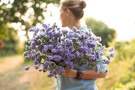 Do drop us an email at info@realflowers.co.uk with your views and ideas. Discovering Dried Flowers Floret Flowers