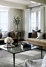 Brown Velvet Sofas With Gray Pillows Transitional Living Room Brown Living Room Brown Living Room Decor Living Room Grey