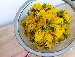 Before you tell how to make honey from dandelions, discuss some points. Vegan Dandelion Honey Plantyou Full Instructions