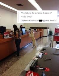 I wanted to start up a bank, so i moved to an island. Puns Funny Page 2 Funny Puns Pun Pictures Cheezburger