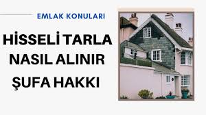 Peki hisseli arsaya ev yapabilir miyim? Hisseli Tarla Satarken Dikkat Hisseli Tarla Satilir Mi Nasil Satilir Hisseli Tapu Nedir Youtube
