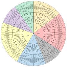 the emotion chart my therapist gave me that i didnt know