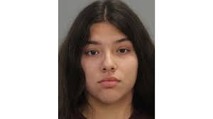 Teen arrested for breaking into A&M Consolidated High School