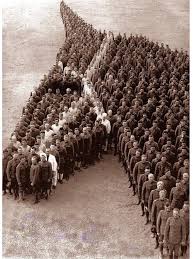 Soldaty Antanty Vystroilis V Forme Golovy Loshadi V Pamyat O 8 Mln Mulov Oslov I Loshadej Pogibshih Vo Vremya Pervoj Mirovoj Vojny War Horse Horses Pictures