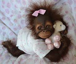Newborn Orangutan Google Search Sevimli Hayvan Yavrulari Maymunlar Yavru Kopek