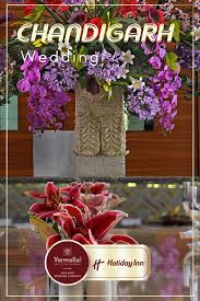 Holiday Inn Chandigarh Wedding Hotel In 2020 Luxury Destination Wedding Hotel Wedding Holiday Inn