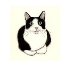 Black And White Tuxedo Cat Tuxedo Cat Art Green Eyes 4 X 6 Black And White Cat Print 4 For 3 Sale Cat Art Cat Eyes Drawing Tuxedo Cat Art