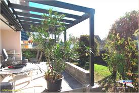 32 Frisch Ratten Im Garten Erkennen Zimmergewachshaus Sonnenschutz Terrasse Gartendekoration