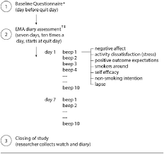 Baseline assessment to establish the existing capacity of the division of malaria control to undertake monitoring and evaluation functions the overall objective of the baseline assessment. Study Design And Timeline A Only For Baseline Description Sample Y Download Scientific Diagram