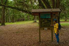 We did not find results for: Fort Cooper State Park Florida Hikes