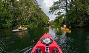 Part of canoeing is overcoming and working with nature and the environment. Is It Safe To Kayak In Florida A Practical Guide Before You Head Out