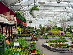 We are a hub for all things plants. 40 Plant Center Ideas Garden Center Displays Garden Center Plant Nursery