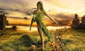 We did not find results for: Mother Earth Wallpapers Wallpaper Cave