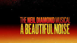 A Beautiful Noise