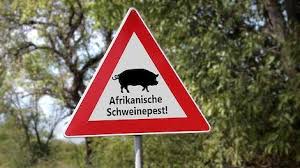 Deze startpagina gaat over duitsland. Laatste Nieuws Over Avp In Duitsland Duitse Avp Nadert 900 Besmettingen Pigbusiness Nl Nieuws Voor Varkenshouders