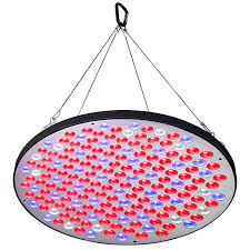 Check spelling or type a new query. Niello Led Grow Light Panel Series 50w Full Spectrum Led Grow Lamp Ultra Thin Ultra Light Design With Upgraded 177pcs Big Chip Leds Switch Control For Indoor Plants Growing Flowering Buy Online In Antigua