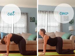 Pregnancy yoga cat pose and cow pose with pregnancy yoga expert lucy howlett. 5 Ways To Bond With Baby In Prenatal Yoga
