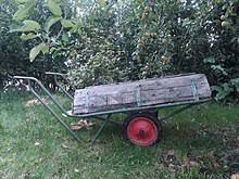 What is the horticulture vs botany similarities and differences? Horticulture Wikipedia