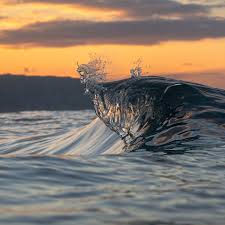 Todd Willer (@electricwooly) • Foto e video di Instagram