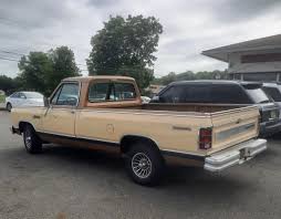 Image result for Mink Brown 1985 Dodge