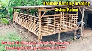 Tetap semangat semoga bermanfaat terimakasih sudah menonton dan men subscribe. Pembuatan Kandang Kambing Sederhana