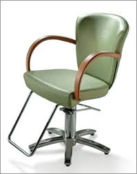 Takara Belmont Liu St 300 Wholesale Salon Equipment Beauty Salon Furniture Salon Styling Chairs Hair Salon Chairs Salon Chairs