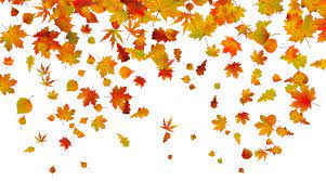 Transparent Fall Leaves Png Clipart Image Fall Clip Art Fall Leaves Png Autumn Leaves