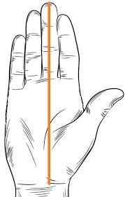 Measuring for many items of clothing such as formal suits and casual trousers requires multiple measurements. The North Face Men S Unisex Gloves Size Chart Fit Guide