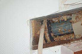 Bienen im rolladenkasten wespennest im rollladenkasten was bienen und wespen im fensterrahmen » ursachen. Wespennest Im Rolladenkasten Was Tun