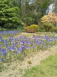 20th April 2020 In 2020 Lake Garden Outdoor Outdoor Decor