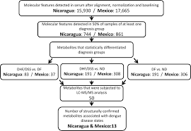 Flow Chart Of Hydrophilic Interaction Liquid Chromatography