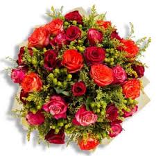We did not find results for: Flower Delivery Halle Online Florist Halle