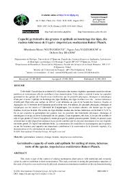 Image result for Ampelocissus multistriata