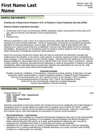 Treasury management, investments, cash flow analysis, banking, debt service, capital budgeting and general financial management. Pin On Resume Design Template