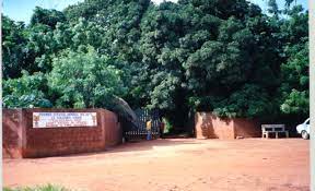 Forêt sacrée de Ouidah, Kpassèzoun - MédiHAL