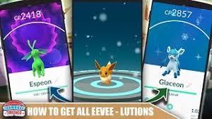How To Get All Forms Of Eevee Evolutions Eevee Evolution Tricks Including Sylveon Pokemon Go Youtube Let's start with the basics— getting an eevee to start with. how to get all forms of eevee evolutions eevee evolution tricks including sylveon pokemon go