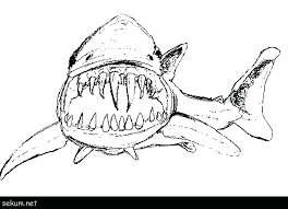 Coloring pages pictures of sharks to draw. Shark Coloring Pages Printable Astro Blog